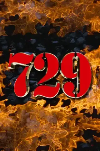 729 by MOD Elektronik